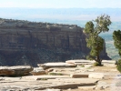 PICTURES/Colorado National Monument/t_Cold Shivers Point5.JPG